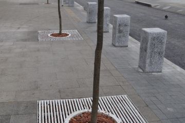 Приствольные решетки для деревьев квадратные
